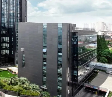 海口龙华区企业网站搭建服务：斯博特信息技术中心的定制开发流程解析